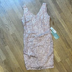 Blu Sage Champagne/Blush Lined Midi Dress - Size 10